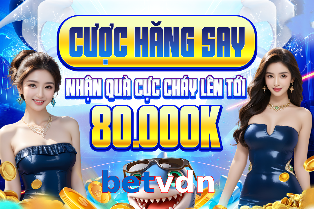 betvdn