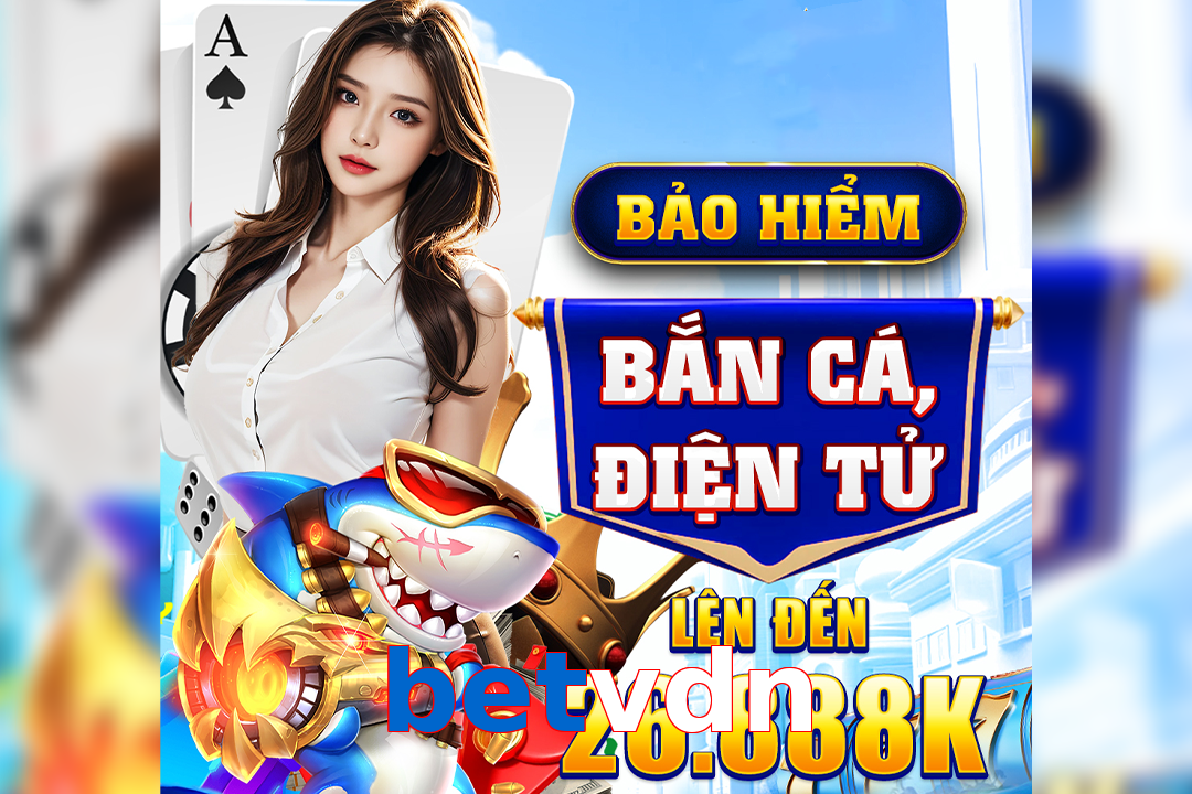betvdn