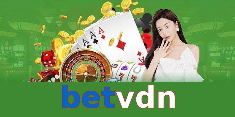 betvdn